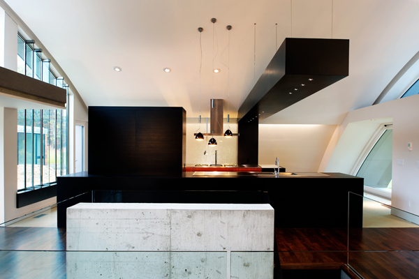 
                            <h4><em>The Arc House</em></h4>
                            2008 - 2010
                            <br /><br />
                            East Hampton, New York
                            </br>
                            Kitchen
                            <br /><br />