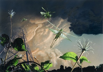 <h3>ALEXIS ROCKMAN</h3>
						<h4><em>Clematis</em></h4>
						2006</br>Oil and acrylic on wood</br>
                        24 x 32 inches</br>
                        