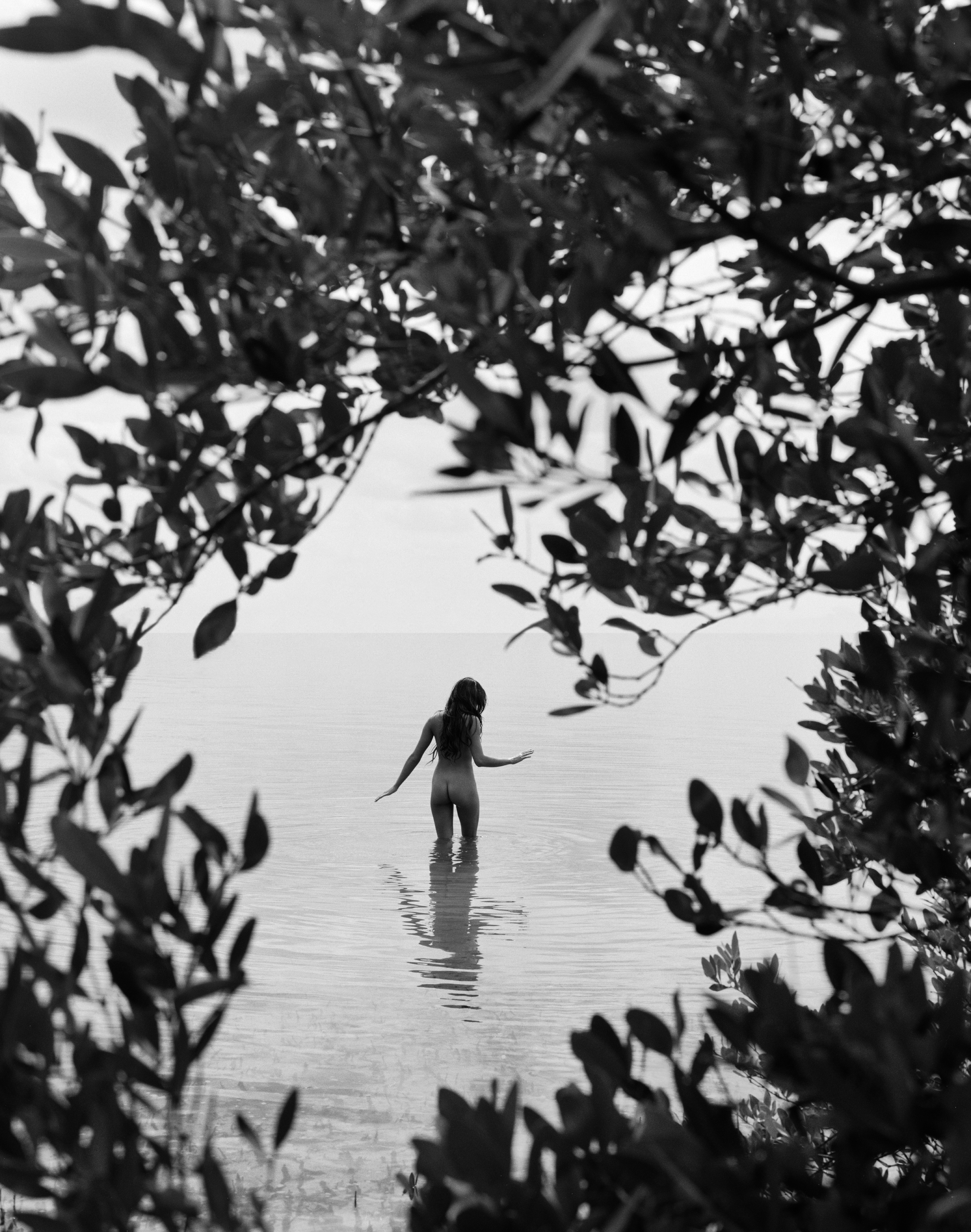 <h3>MICHAEL DWECK</h3>
						<h4><em>Mermaid #162 (Aripeka, Florida)</em></h4>
						2008</br>Silver gelatin print</br>
						37 x 30 inches</br>
                        Edition 1/5</br>
                        